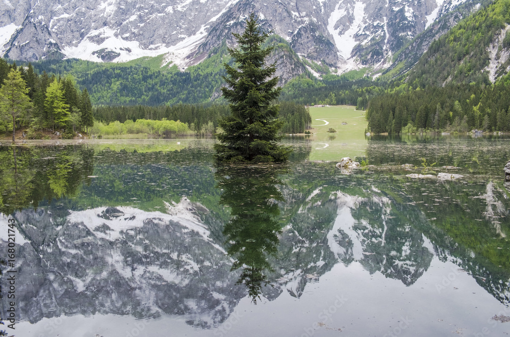 Naklejka premium Reflection of trees in the Lake Laghi di Fusine, Italy