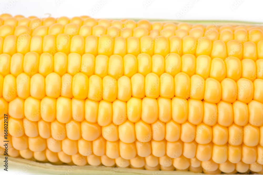 Fototapeta premium Maize