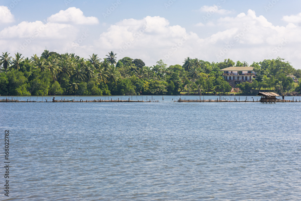 The Hikkaduwa Lake in the north-east of the same city. With its monitor lizards and numerous birds, it is a very pleasant excursion away from the beach. The lagoon with an estuary, has mixed water