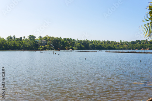 The Hikkaduwa Lake in the north-east of the same city. With its monitor lizards and numerous birds, it is a very pleasant excursion away from the beach. The lagoon with an estuary, has mixed water photo