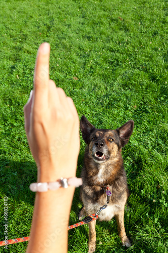 Woman With Her Dog In The Park photo