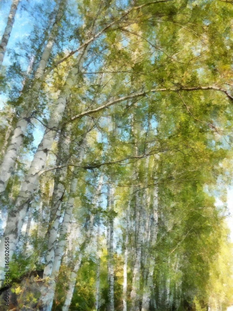 Fototapeta premium Wysoki, smukły biały brzozowy las. Akwarela ilustracja krajobraz rosyjskiej wiosny. koncepcja obróbki zdjęć.
