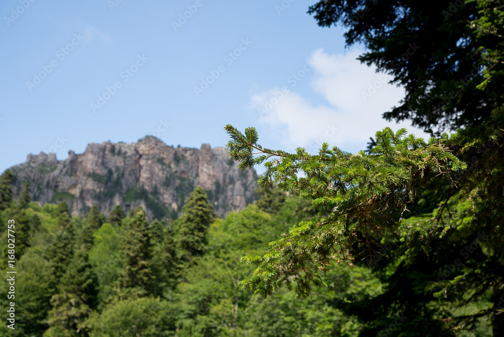 Majestic mountain landscapes of the Caucasian reserve Majestic mountain landscapes of the Caucasian reserve