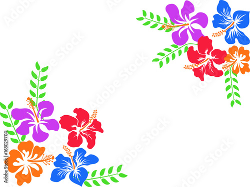 color Hawaii hibiscus background