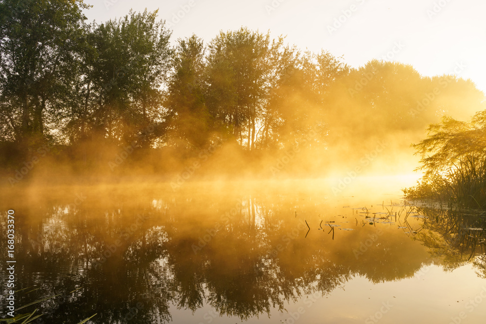 Fototapeta Mglisty świt nad piękną wiosną rzeki