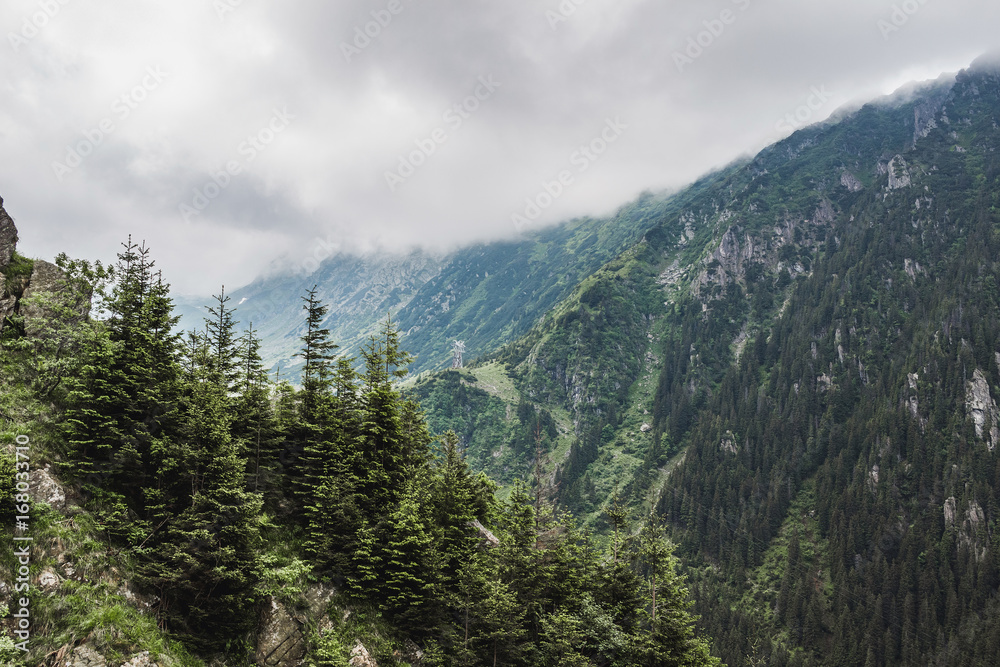 Fototapeta premium Carpathians nature landscape of rocky Fagaras mountains in cloudy weather at Romania, spectacular wilderness scenery