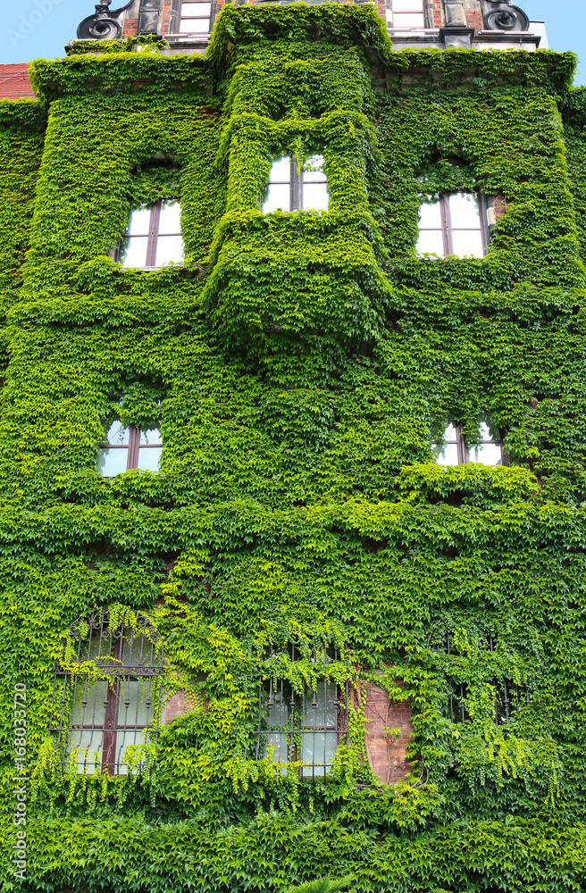 Obraz premium WROCLAW, POLAND - AUGUST 14, 2017: Wroclaw Old Town. The National Museum in Wroclaw occupies the building designed by an architect Karl Friedrich Endell and erected in 1883 - 1886.