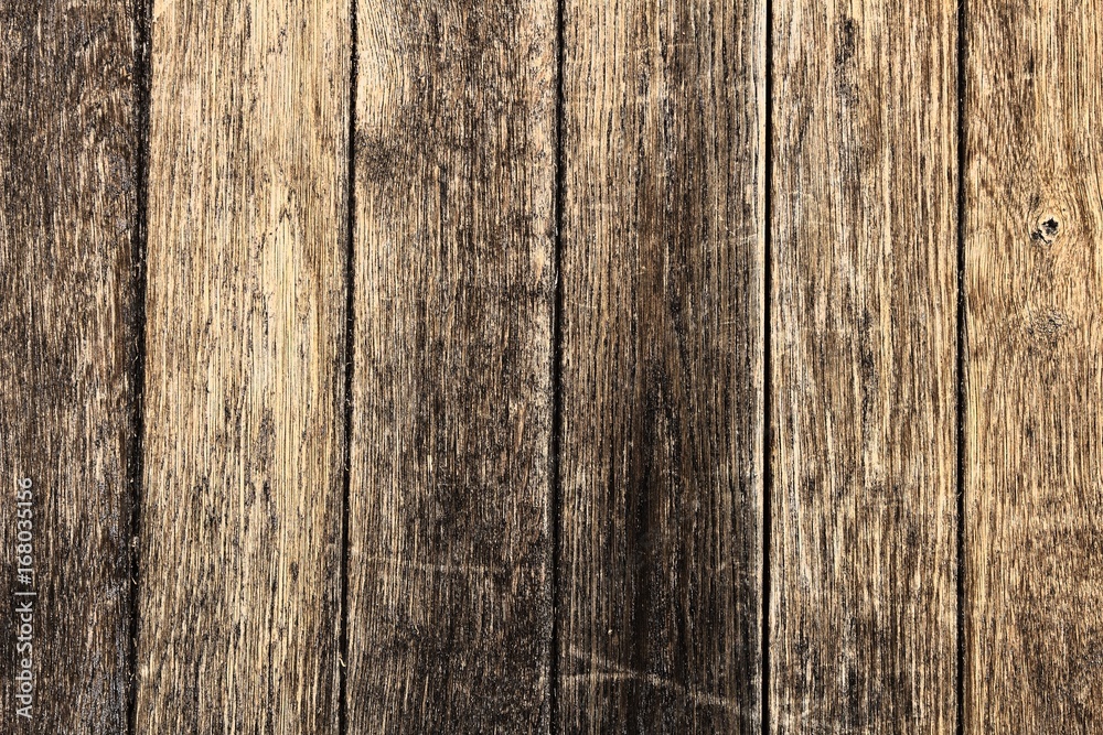 Wood background texture