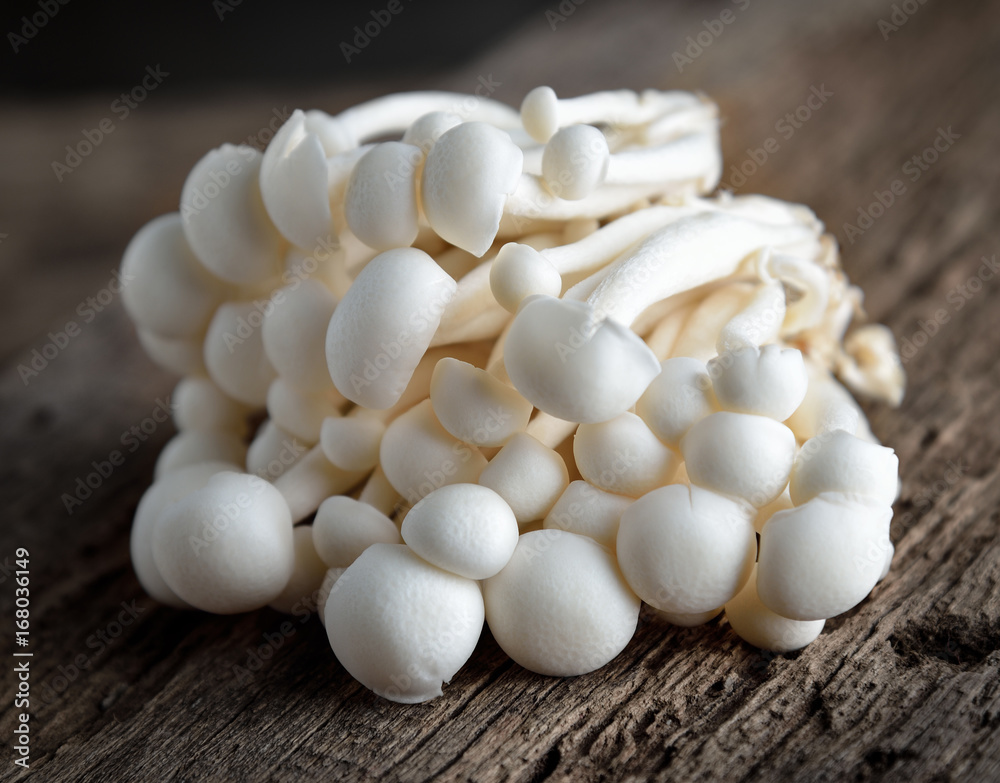 White shimeji mushrooms on wooden rustic table. White shimeji mushrooms on wooden rustic table.