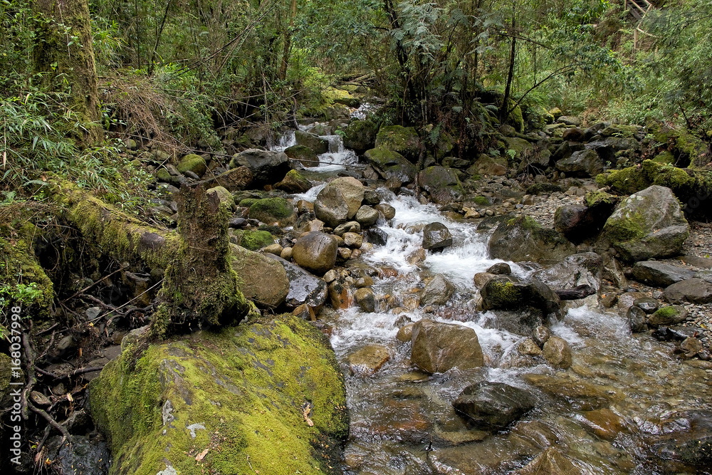 Vicente Perez Rosales National Park, Chile Vicente Perez Rosales National Park, Chile