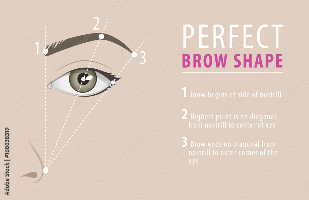 Obraz premium Perfect eyebrow shape tutorial. vector template
