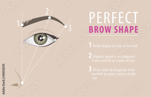 Perfect eyebrow shape tutorial. vector template photo