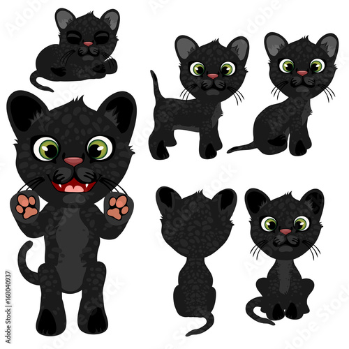 Black kitten in different poses. Vector illustration in cartoon style on white background for animation, games, veterinary projects, childrens books and other design needs