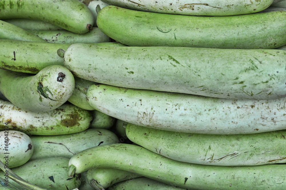 fresh yellow zucchinis fresh yellow zucchinis