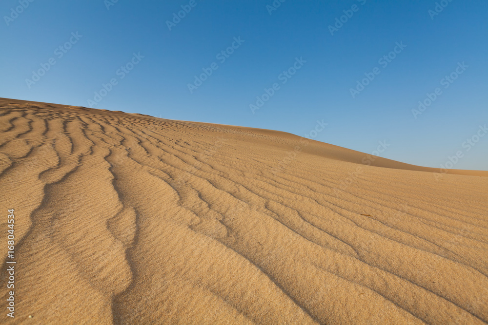 Naklejka premium Desert