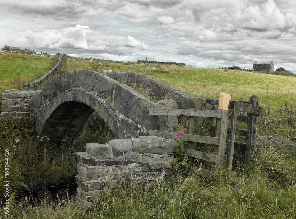 an ancient stone medieval packhorse bridge in colden near hebden bridge in west yorkshire in pennine moorland landscape with grazing sheep an ruined farm building in the background bridge