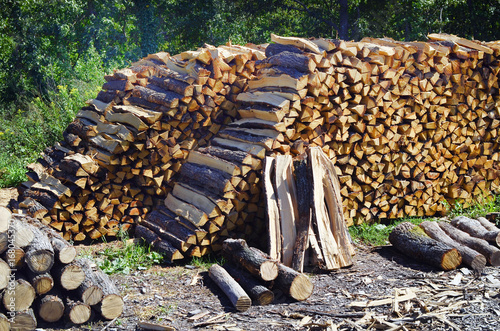 Austria, Forest Industry