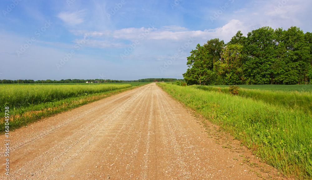 Gravel country road.