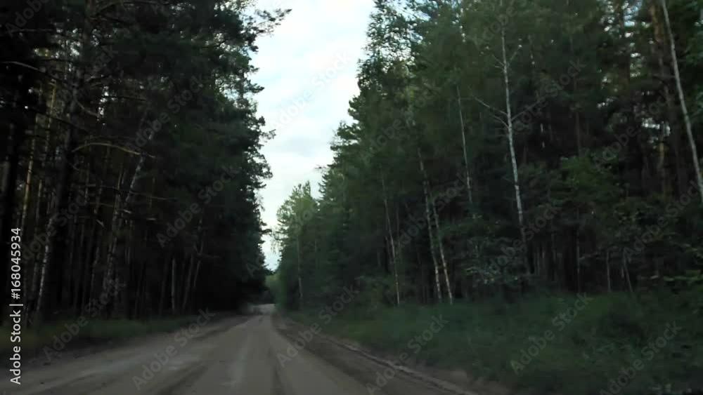 Road in the forest. View from the car Road in the forest. View from the car