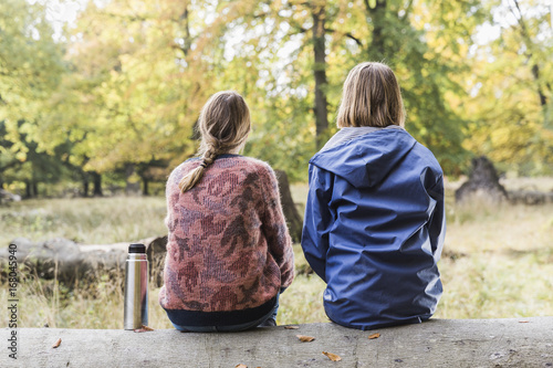 Two female friends sitting on a tree trunk looking at the forest