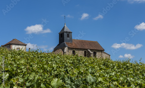 Mutigny Church Vineyard