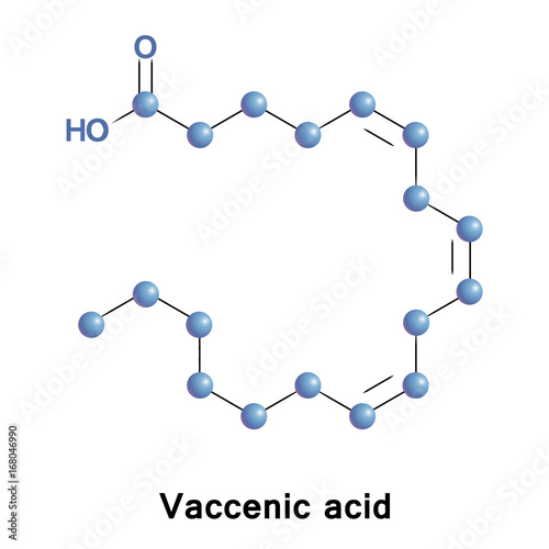 Vaccenic octadecenoic acid