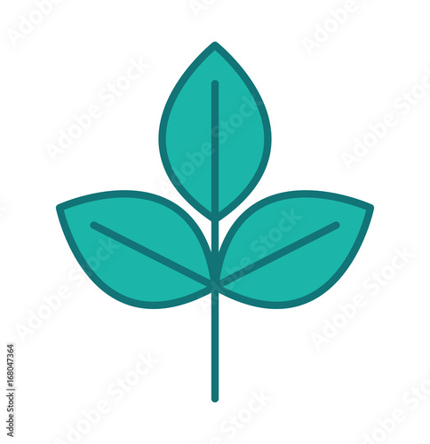 Young sapling isolated. Sprout plant on white background