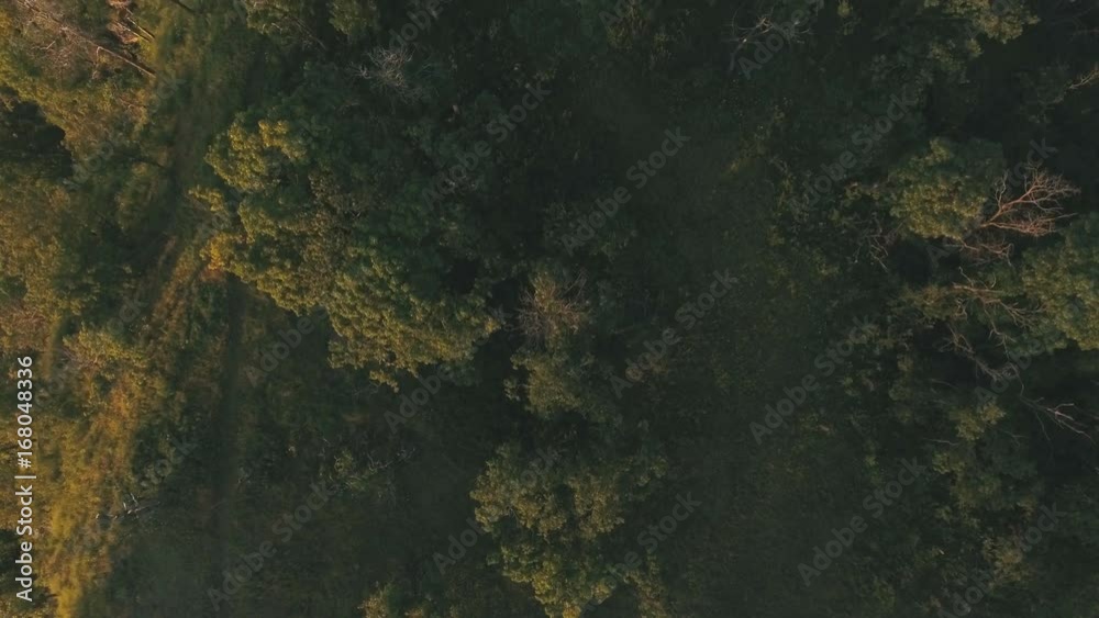 aerial shooting wood aerial shooting wood