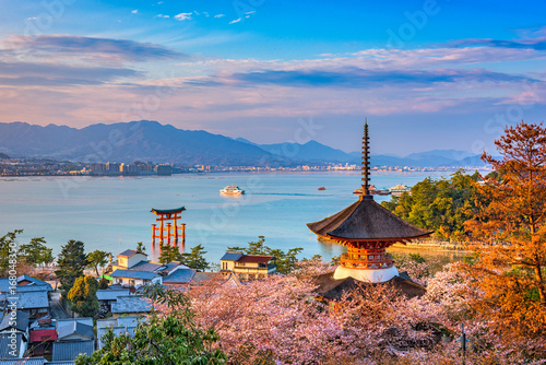 Miyajima Island, Hiroshima, Japan photo