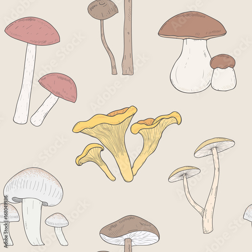 Different mushrooms seamless pattern. Hand drawn fungi. Armillaria, blewits, boletus, chanterelle. Colorful vector illustration pattern.