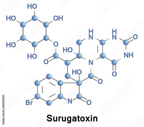 Surugatoxin ganglionic blocker
