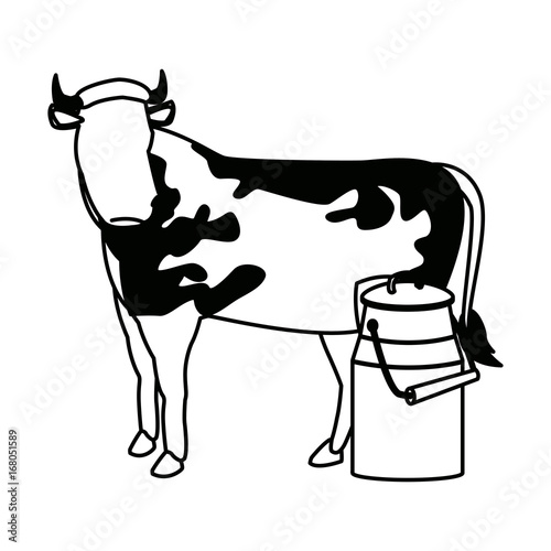 swiss can milk cow dairy culture concept vector illustration