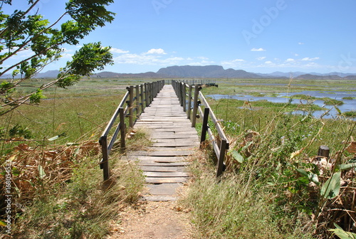 Ponton sur les lagunes