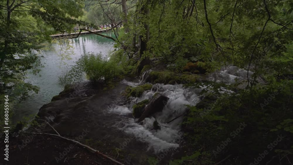 Water among trees and waterfall in Croatia in Plitvice Lakes National Park Water among trees and waterfall in Croatia in Plitvice Lakes National Park