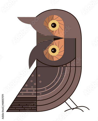 Surprised owl