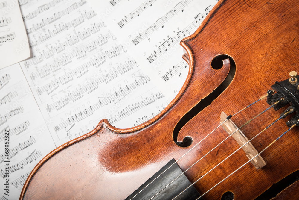 Fototapeta premium Viola on the sheets of music