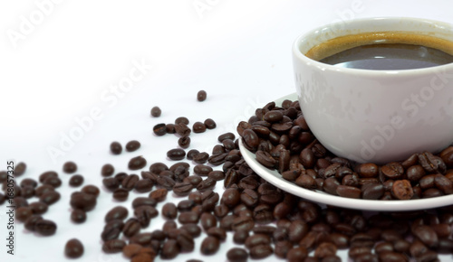 Coffee cup and the seed on white background with copy space for add text message