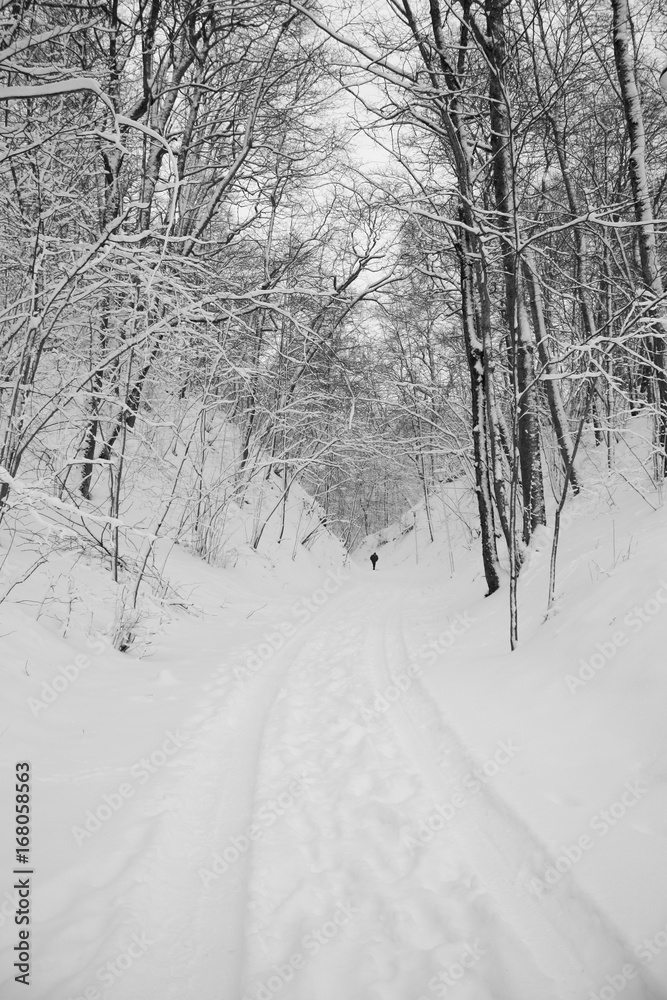 Small old winter road in Latvia. Small old winter road in Latvia.