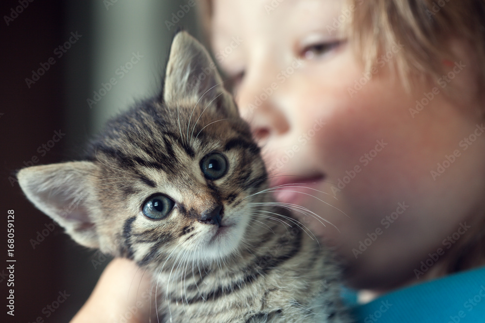 kitten on the shoulder of the boy outdoors kitten on the shoulder of the boy outdoors