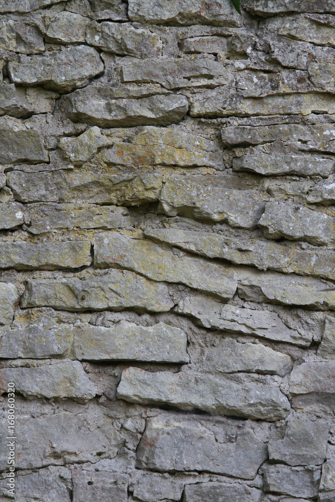 Brick wall. Brick wall.
