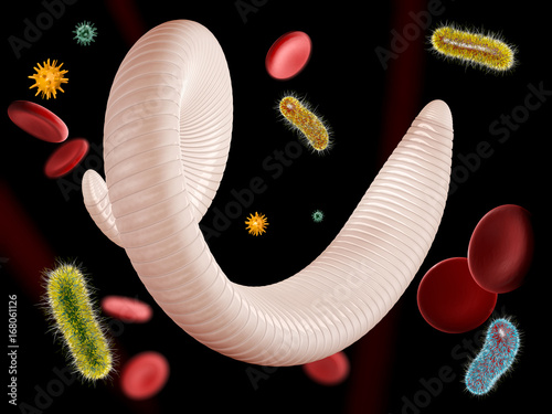 3d Illustration of helminth with virus and blood cells. photo