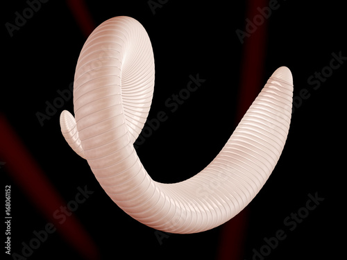 3d Illustration of parasitic worm and food poisoning. photo