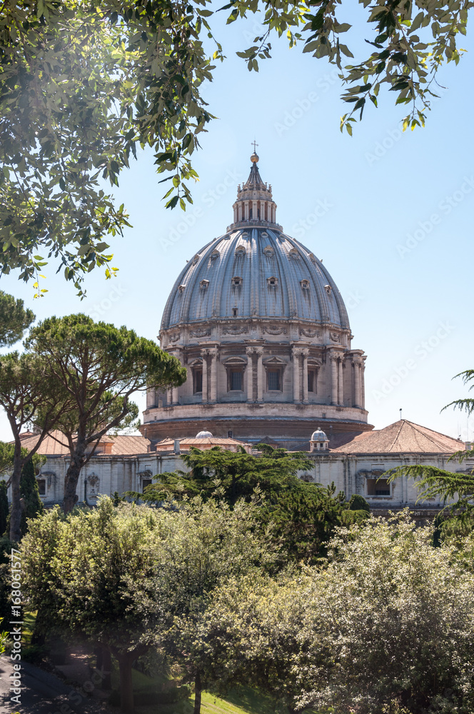 Obraz premium The Dome of St Peter's Basilica Vatican