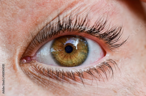 oeil en gros plan