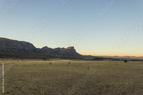 African bush landscape