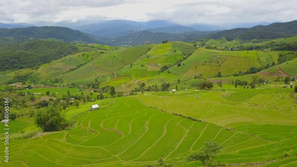 Aerial High View Terrace Rice Field Beautiful Landscape Of Mae Chaem, Chiang Mai Thailand (reverse) Aerial High View Terrace Rice Field Beautiful Landscape Of Mae Chaem, Chiang Mai Thailand (reverse)