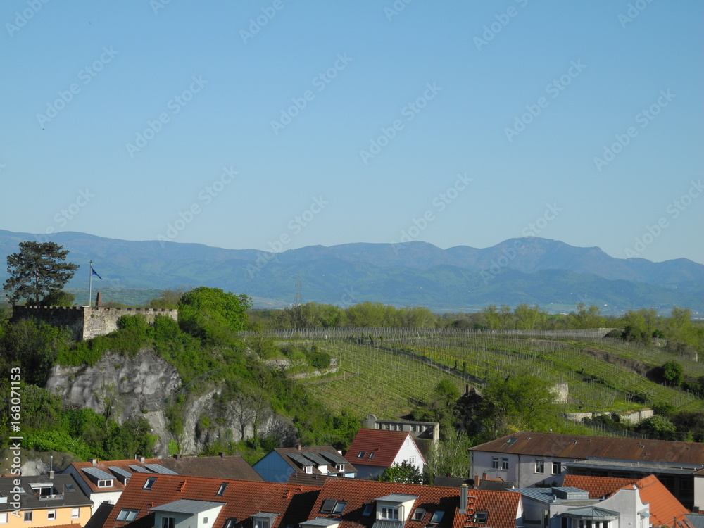 Fototapeta premium Eckartsberg in Breisach