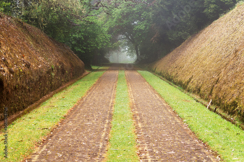 Weg in den Nebel photo