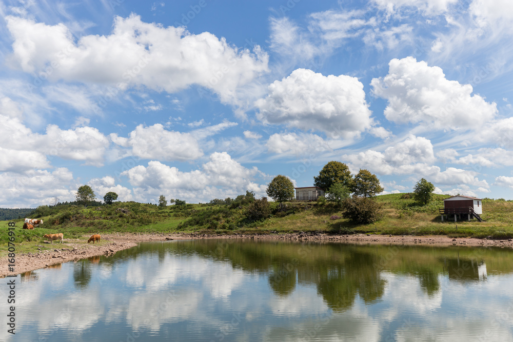 Fototapeta premium étang de Haute-Saône