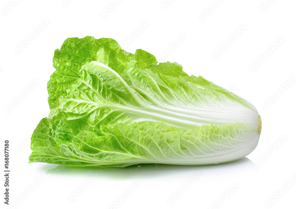 chinese cabbage on a white background chinese cabbage on a white background